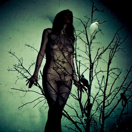 The Atlas Moth - An Ache For The Distance